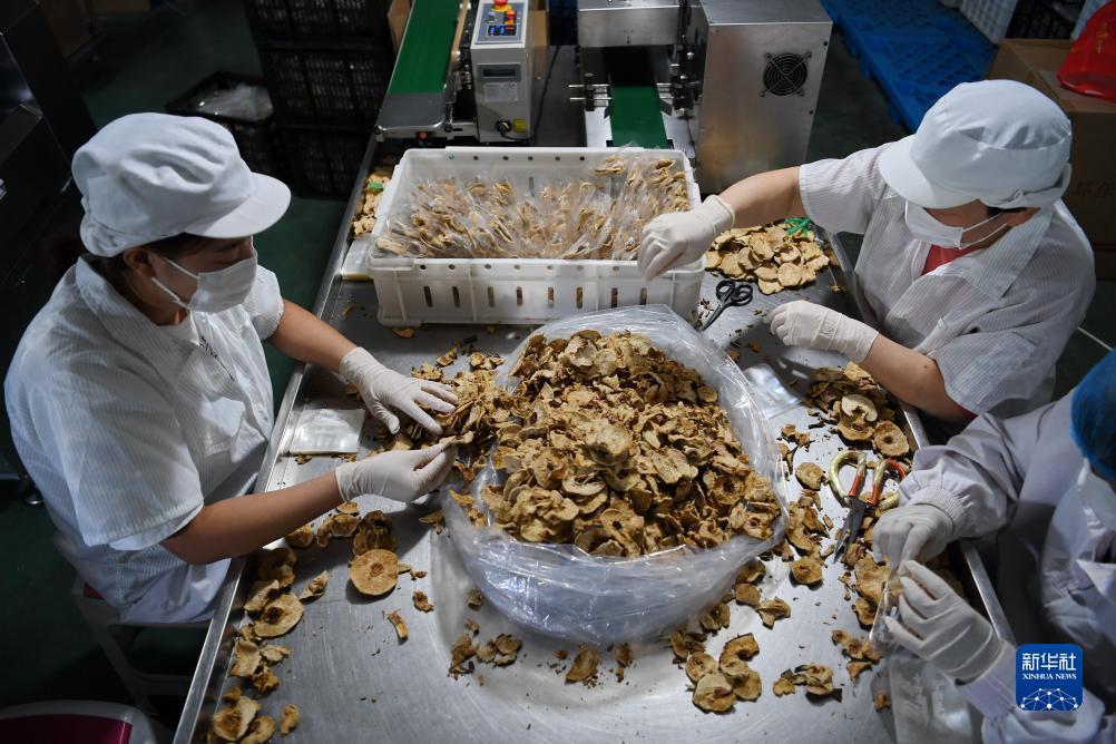 网络巴黎什么意思